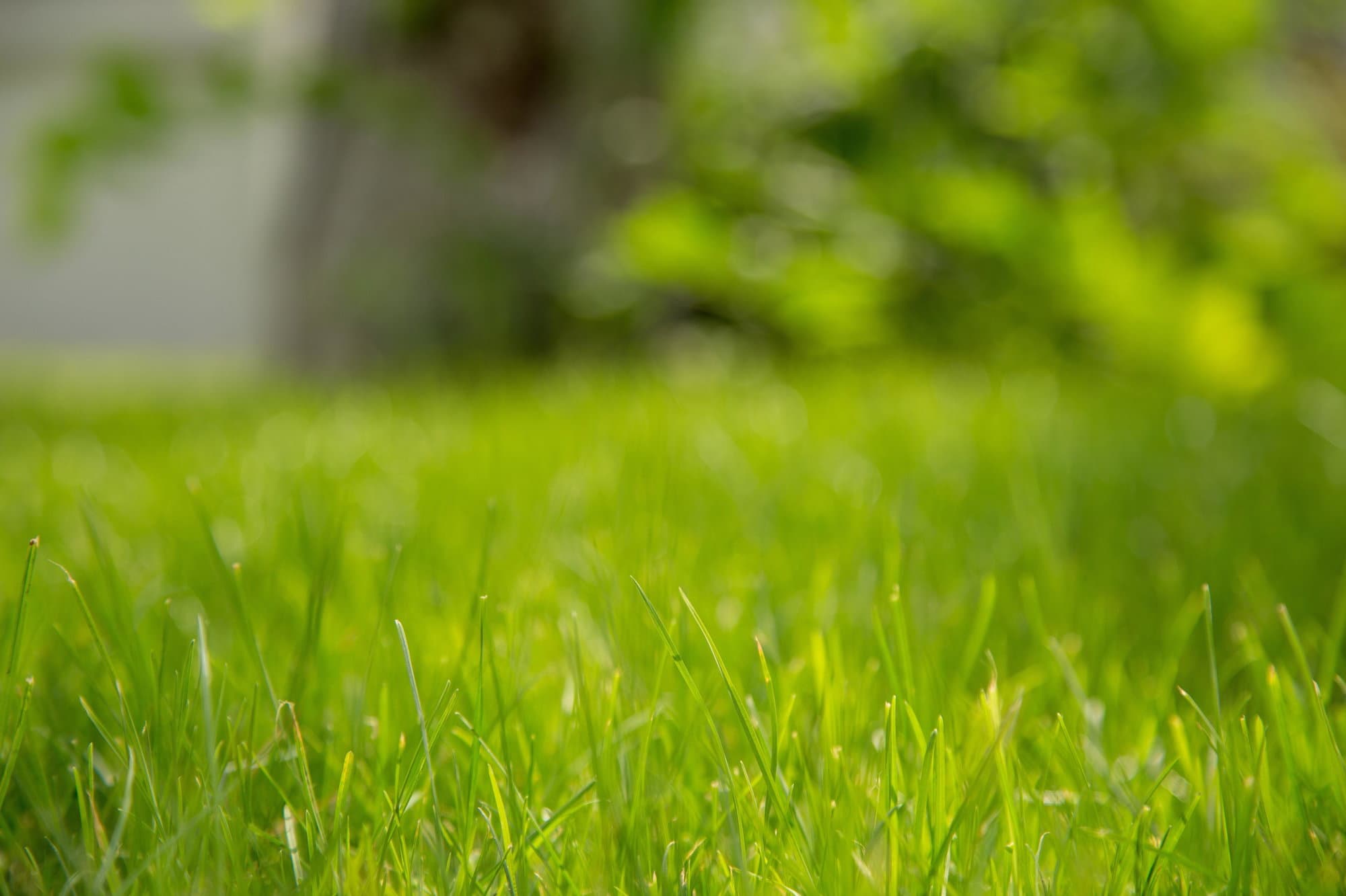 Mantenimiento de jardines